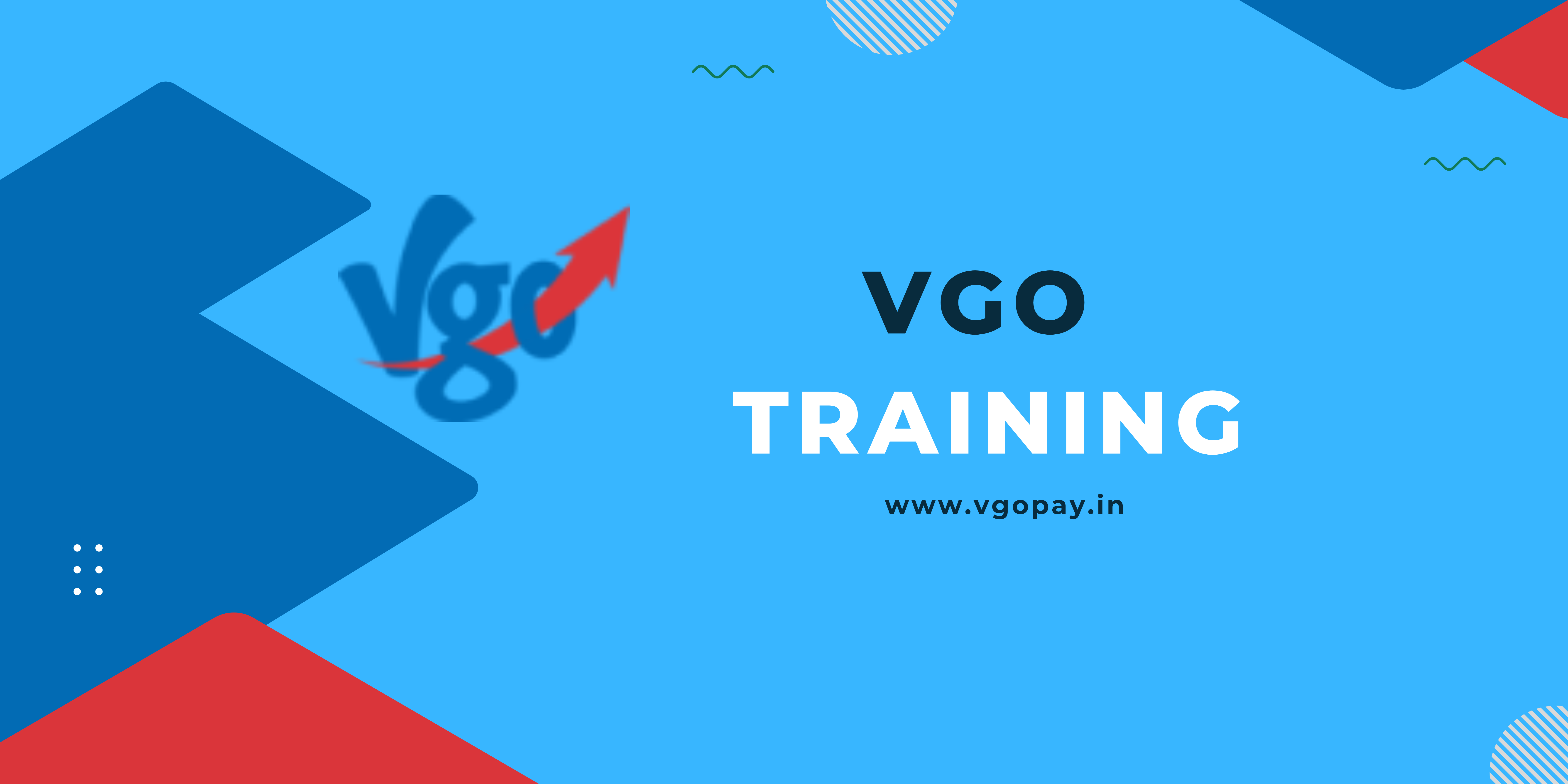 VGo Training
